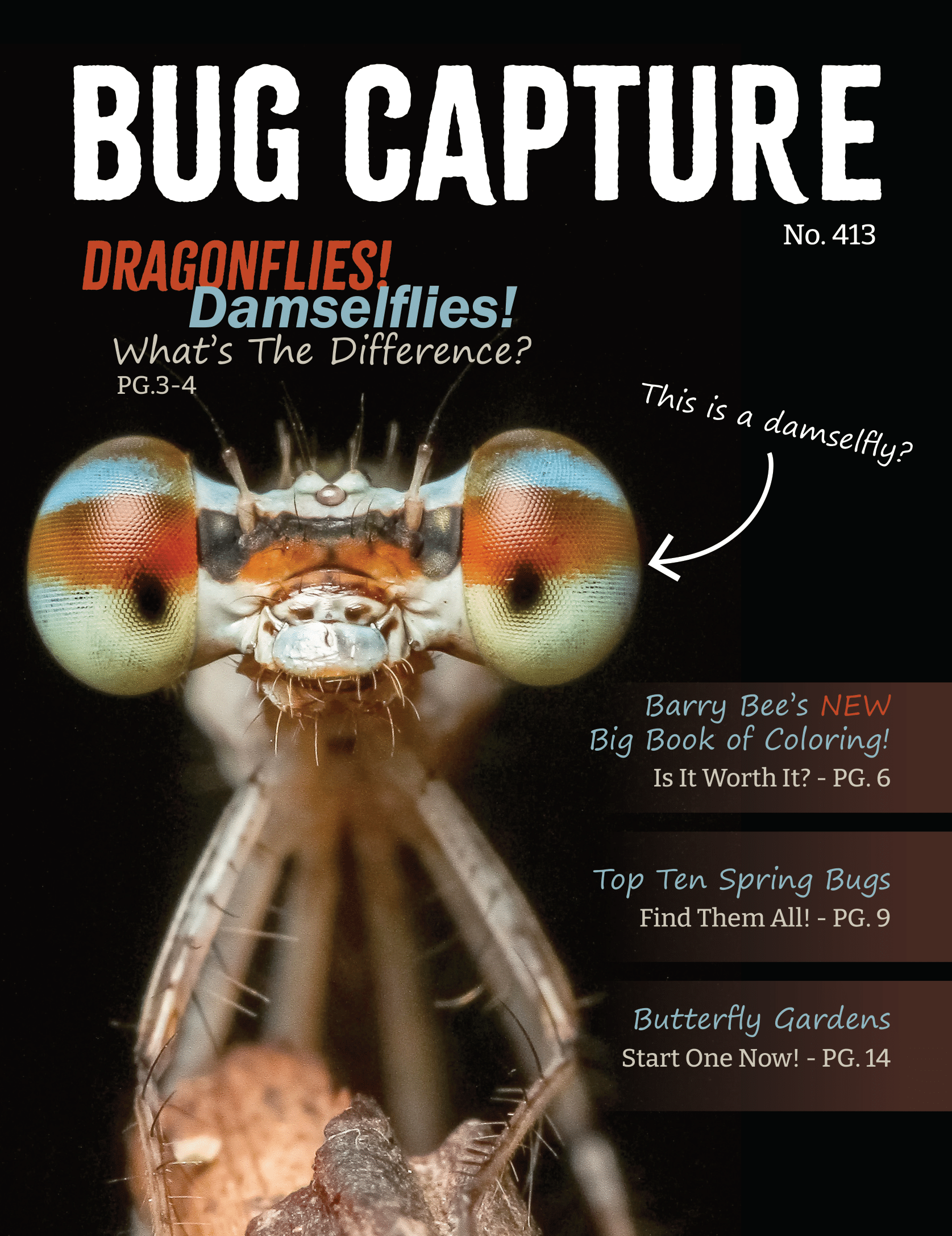 Magazine cover. Bug Capture is written over top, and an image of a damselfly takes the center. An arrow pointing at the damselfly says 'Not a dragonfly?'